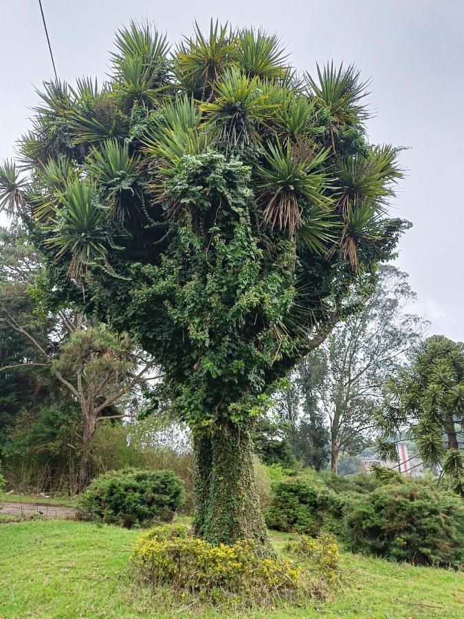 Natures Retreat Hotels And Resorts Ooty Exterior foto